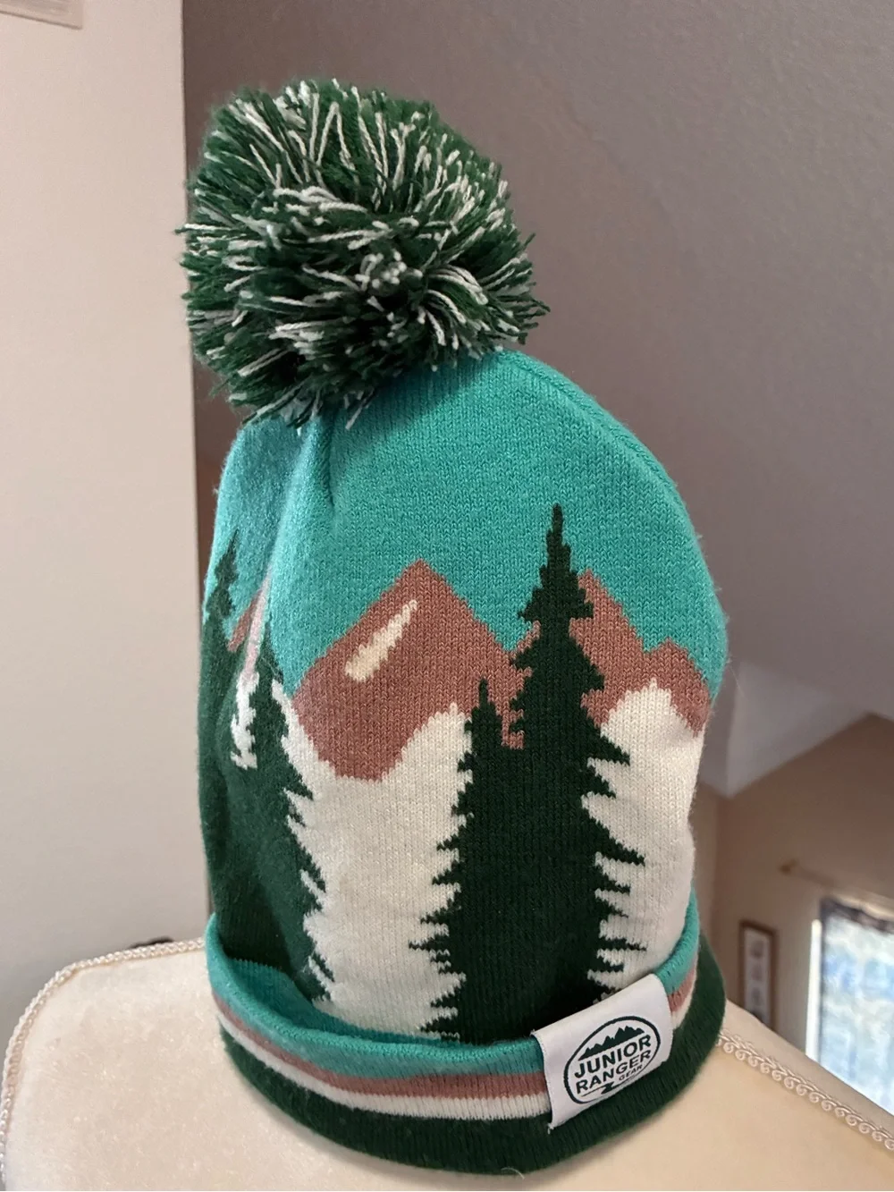NPS Junior Ranger Mountain Scene Pom Pom Beanie in Teal & Forest Green